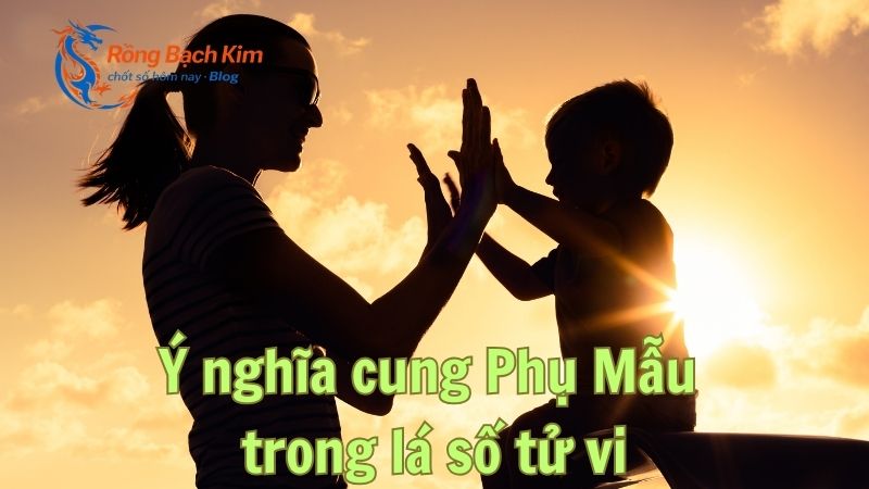 cung phụ mẫu là gì