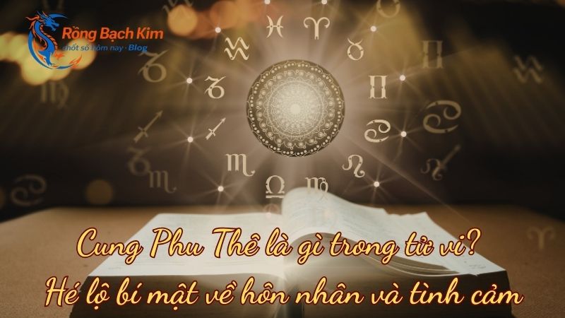 cung phu the la gi 1