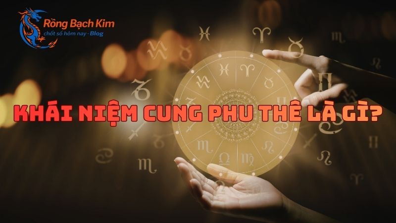 cung phu thê là gì