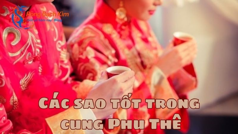 cung phu thê là gì