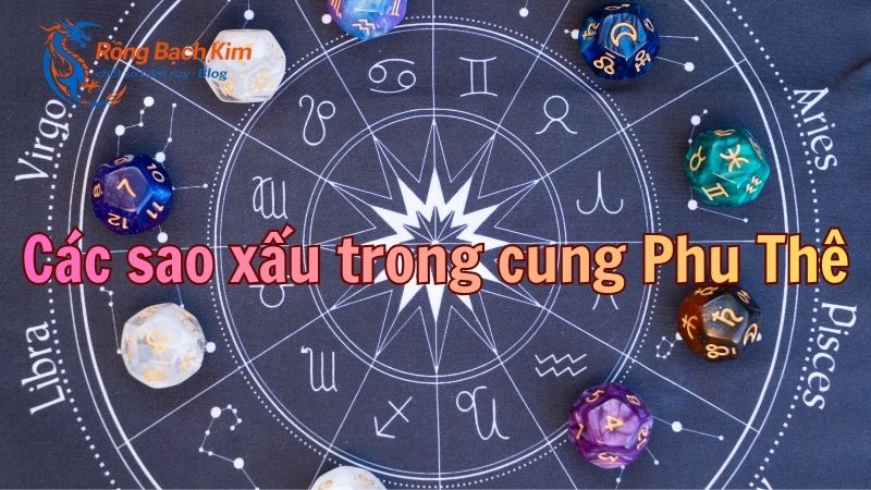 cung phu thê là gì