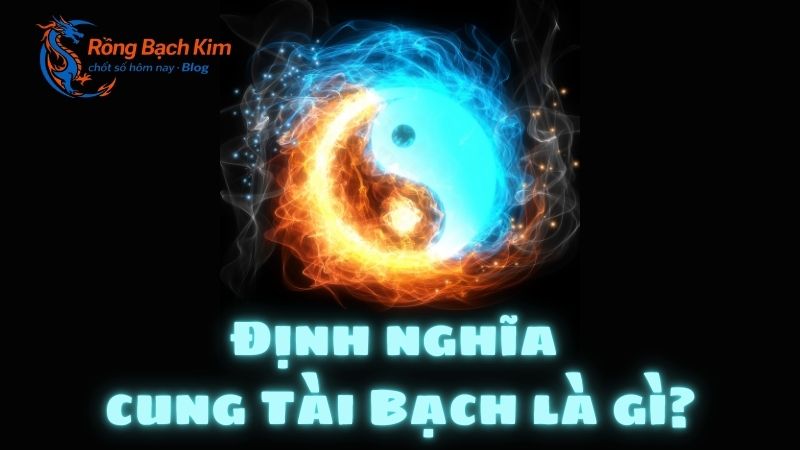 cung tài bạch là gì