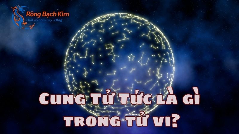 cung tử tức là gì