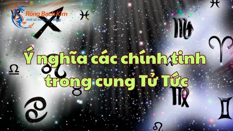 cung tử tức là gì