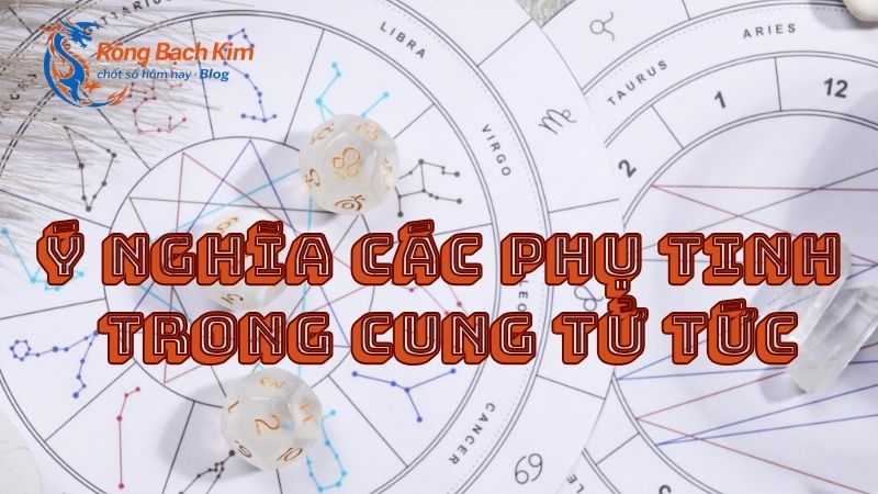 cung tử tức là gì