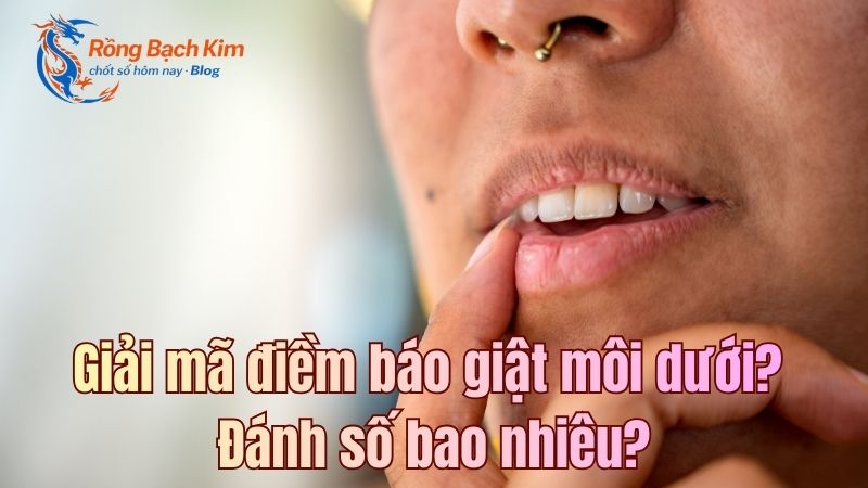 giai ma diem bao giat moi duoi 1