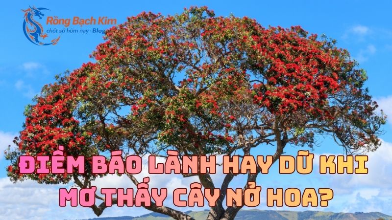 Mơ thấy Cây nở hoa