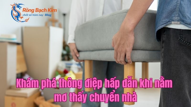 mo thay chuyen nha 1