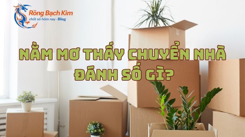 mơ thấy chuyển nhà