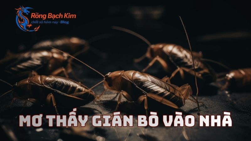 Mơ thấy con gián