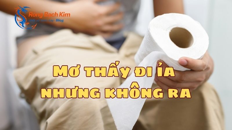 Mơ thấy đi ỉa