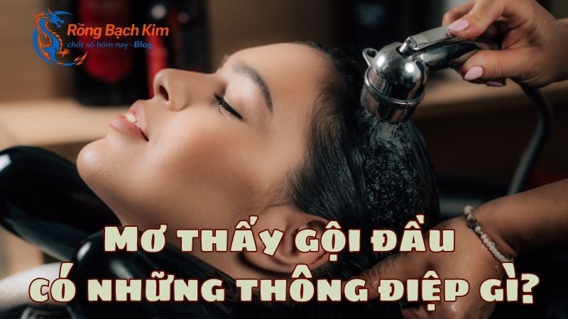 Lật mở những thông điệp hấp dẫn khi mơ thấy gội đầu 1 mơ thấy gội đầu