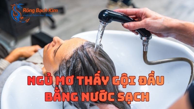 Lật mở những thông điệp hấp dẫn khi mơ thấy gội đầu 2 mơ thấy gội đầu
