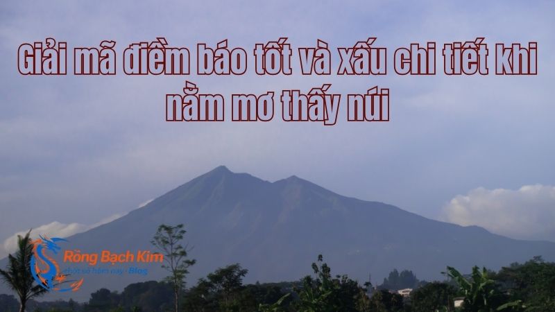 Giải mã điềm báo tốt và xấu chi tiết khi nằm mơ thấy núi 8 mo thay nui 1