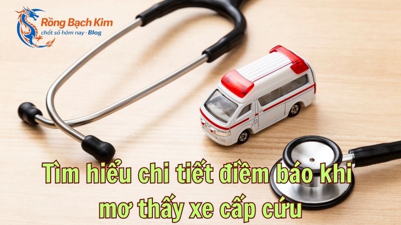 mo thay xe cap cuu 1