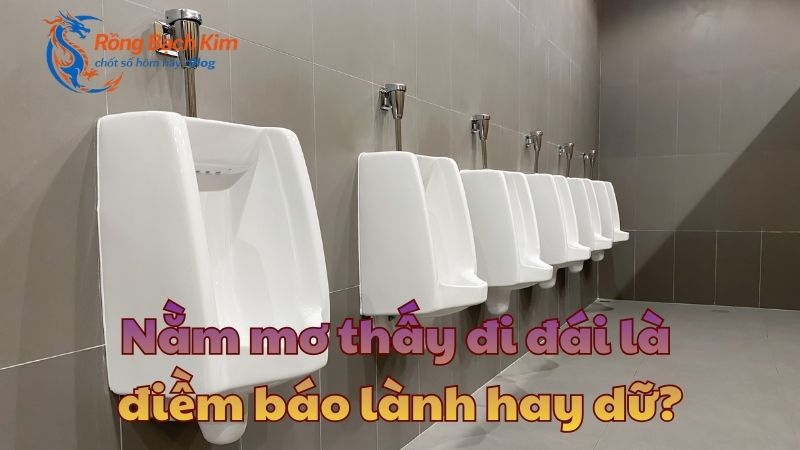 Điềm lành hay dữ khi nằm mơ thấy đi đái? Con số nên đánh? 1 Nằm mơ thấy đi đái
