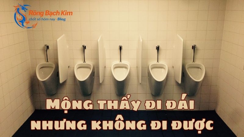 Điềm lành hay dữ khi nằm mơ thấy đi đái? Con số nên đánh? 2 Nằm mơ thấy đi đái