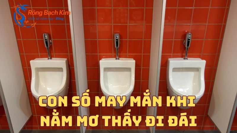 Điềm lành hay dữ khi nằm mơ thấy đi đái? Con số nên đánh? 3 Nằm mơ thấy đi đái