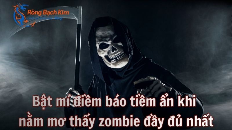 nam mo thay zombie 1