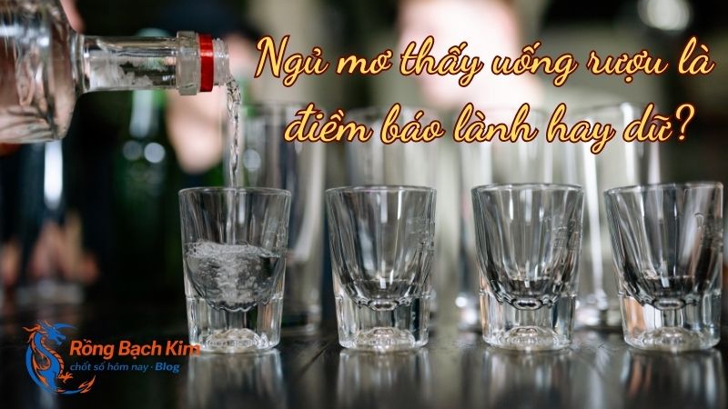 Ngủ mơ thấy uống rượu điềm báo lành hay dữ? Con số may mắn? 1 ngủ mơ thấy uống rượu