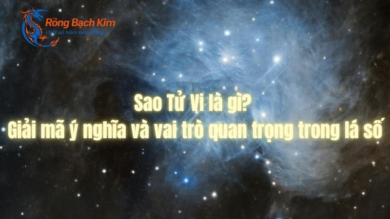 sao tu vi la gi 1