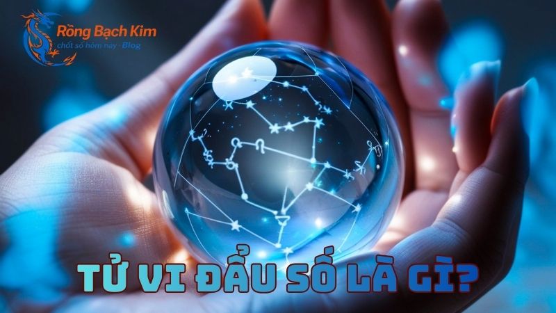 tử vi đẩu số là gì