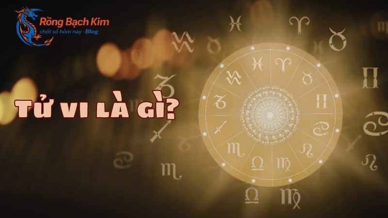 tử vi là gì