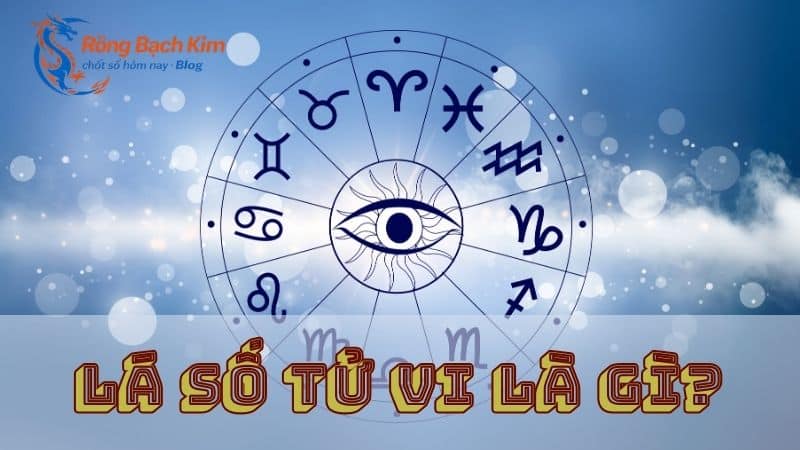tử vi là gì
