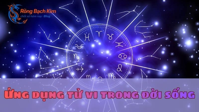 tử vi là gì