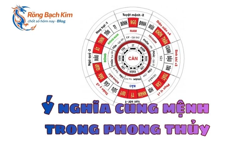 ý nghĩa cung mệnh